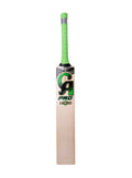 CA PRO 15000 BAT