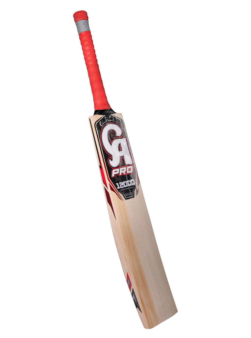 CA PRO 12000 BAT