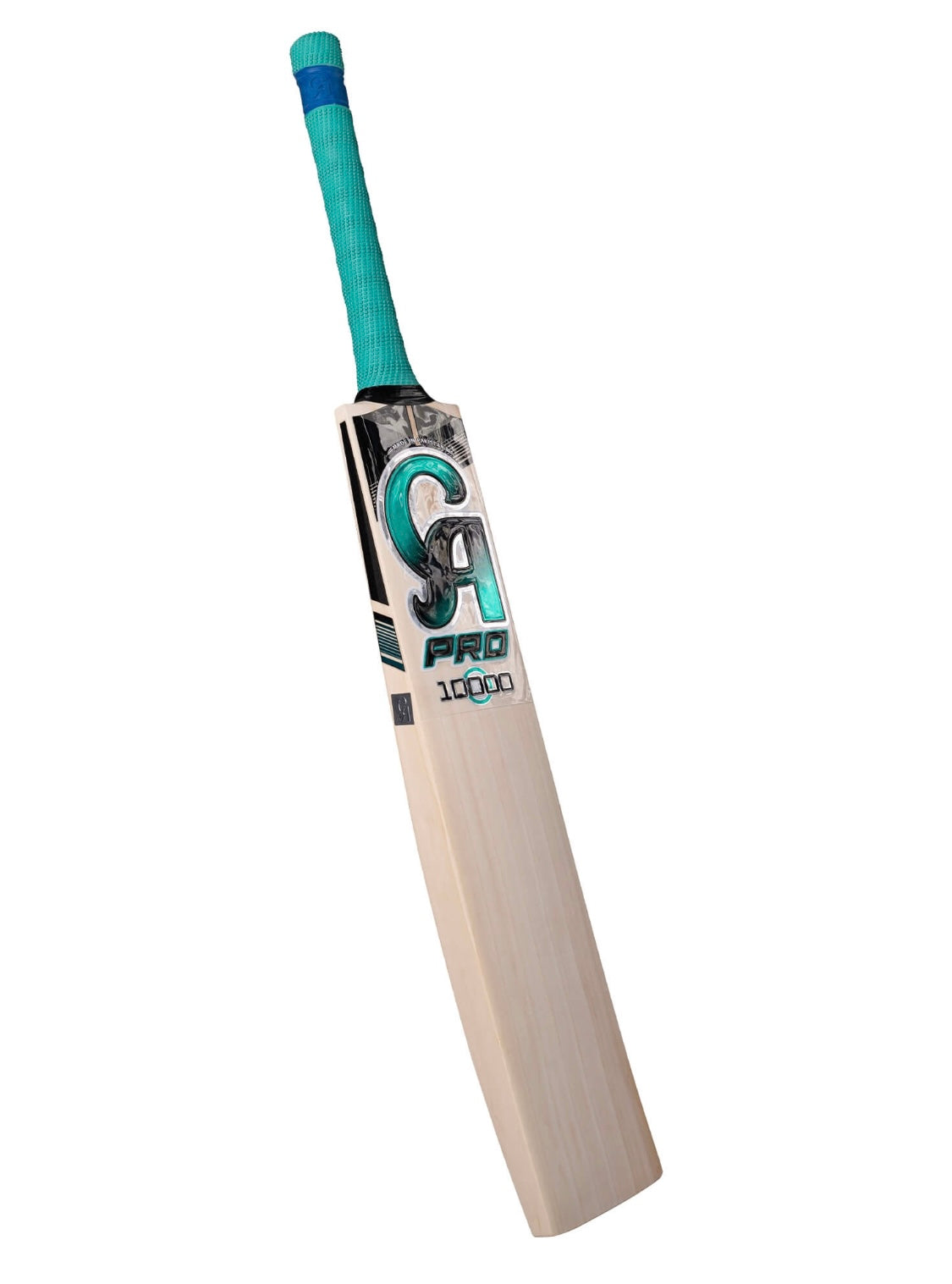 CA PRO 10000 BAT