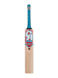 CA PRO PERFORMANCE 5000 BAT