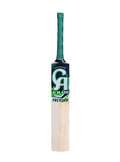 CA GOLD PREMIUM BAT